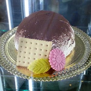 Gerbera mold