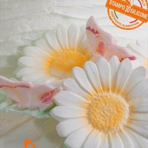 Butterfly mold