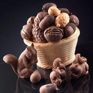 Roast Chestnut mold