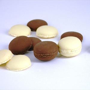 French Macarons mold