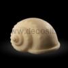Strombus Alatus shell mold